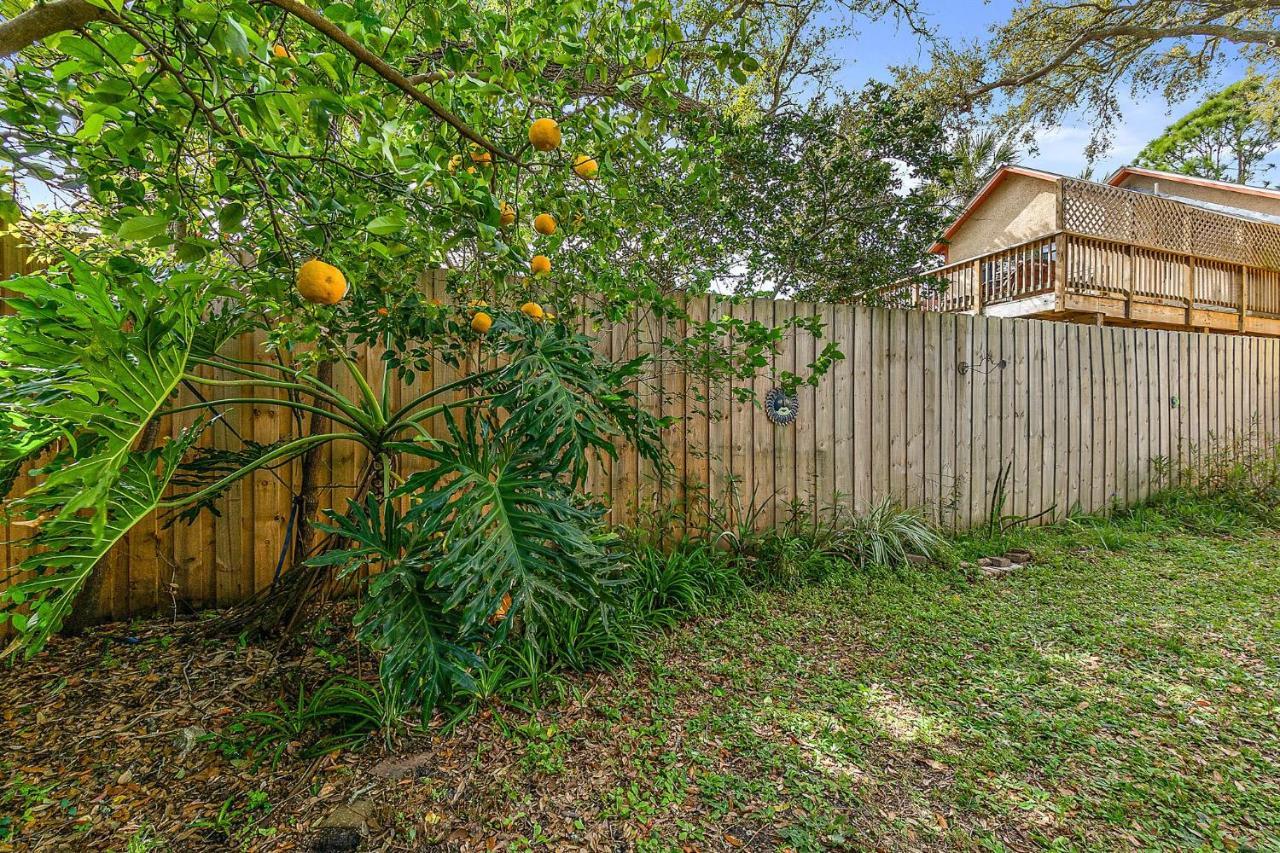 セント・オーガスティン Orange Oasis - Walk To Historic Districtヴィラ エクステリア 写真